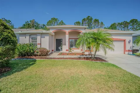 9823 Rolling Cir, San Antonio, FL 33576