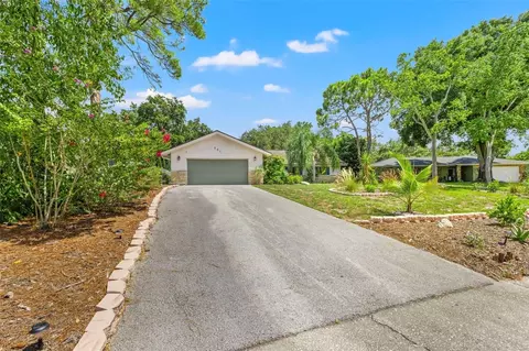 251 Dunbridge Dr, Palm Harbor, FL 34684
