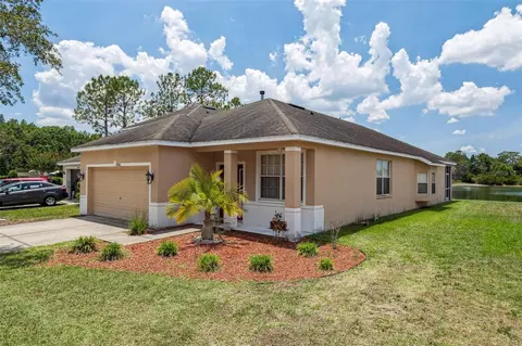 20606 Whitewood Way, Tampa, FL 33647