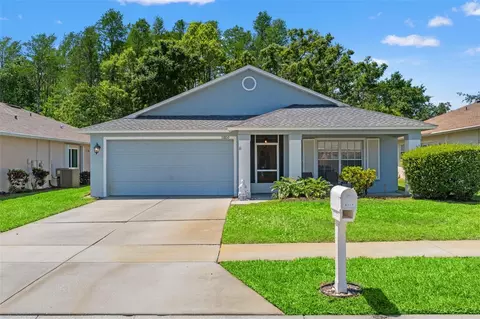 11800 Ivywood Pl, New Port Richey, FL 34654