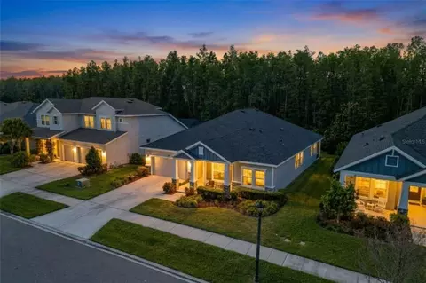 15329 Renaissance Ave, Odessa, FL 33556