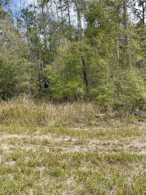 14139 Pigeon Rd, Hudson, FL 34669