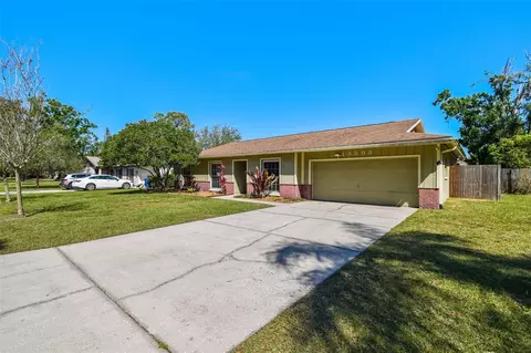 13803 Cherry Brook Ln, Tampa, FL 33618