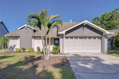 2015 Branch Tree Ln, Brandon, FL 33511