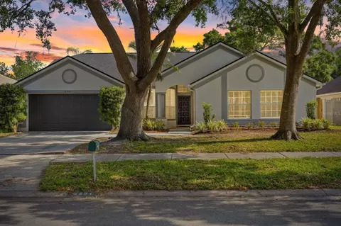 6501 Appaloosa Dr, Tampa, FL 33625
