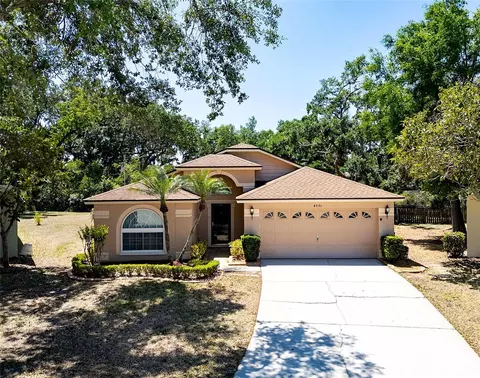 4701 Bear Claw Ct, Valrico, FL 33594