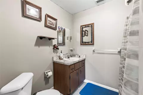 Bath - 29133 Lawton Dr, Nobleton, FL 34661 photo 2 of 3