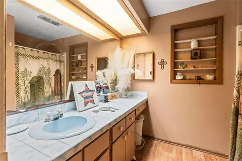 Bath - 29133 Lawton Dr, Nobleton, FL 34661 photo 3 of 3