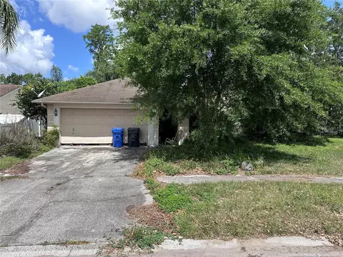 12746 Trucious Pl, Tampa, FL 33625