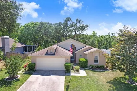 10509 Deepbrook Dr, Riverview, FL 33569