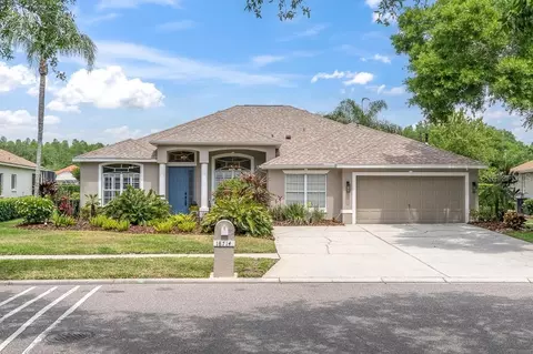 18714 Chemille Dr, Lutz, FL 33558