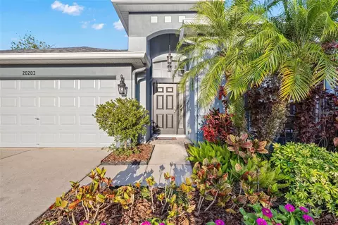 20203 Merry Oak Ave, Tampa, FL 33647