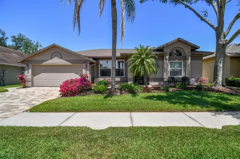 18533 Avocet Dr, Lutz, FL 33558