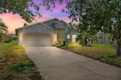 6320 Open Pasture Ct, Wesley Chapel, FL 33545