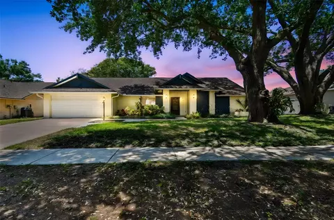 3041 Avalon Terrace Dr, Valrico, FL 33596