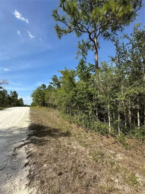 14106 Eastern Phoebe Rd, Brooksville, FL 34614