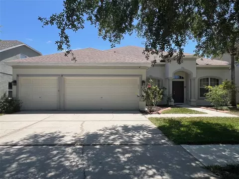 11716 Summer Springs Dr, Riverview, FL 33579