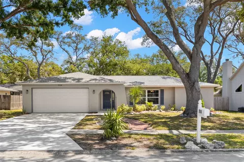 914 Woodland Dr, Palm Harbor, FL 34683