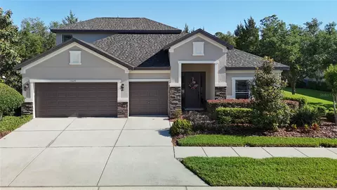 15625 Hawks Crest Loop, Odessa, FL 33556
