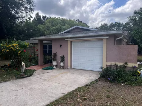 33640 Brisk Dr, Wesley Chapel, FL 33543
