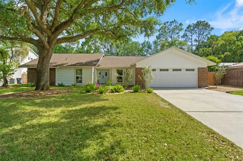 11709 Rolling Oaks Ln, Tampa, FL 33618