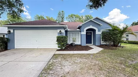 28818 Midnight Star Loop, Wesley Chapel, FL 33543