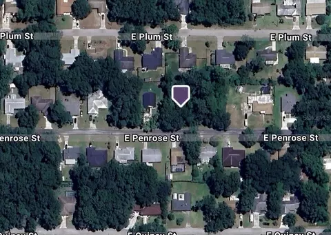 6149 E Penrose St, Inverness, FL 34452
