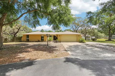 11630 Osceola Dr, New Port Richey, FL 34654
