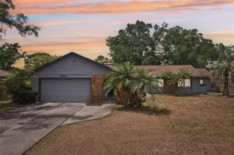 6710 Sandscape Ln, Temple Terrace, FL 33617