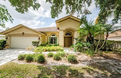 9229 Dayflower Dr, Tampa, FL 33647