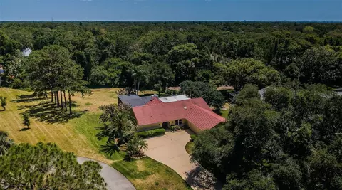 130 Woodcutter Ln, Palm Harbor, FL 34683