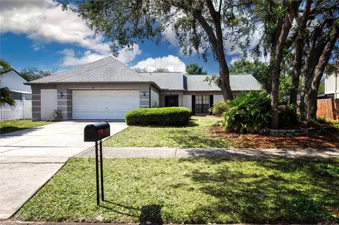 1423 Peachfield Dr, Valrico, FL 33596