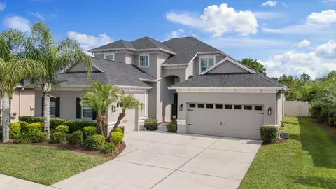3142 Stonegate Falls Dr, Land O Lakes, FL 34638