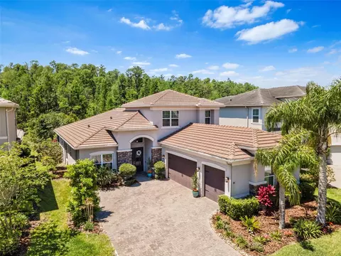 31050 Spruceberry Ct, Wesley Chapel, FL 33543
