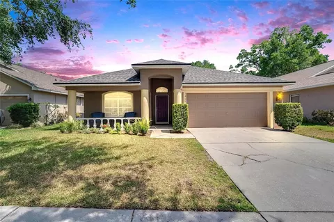 1406 Bloomingdale Trails Blvd, Brandon, FL 33511