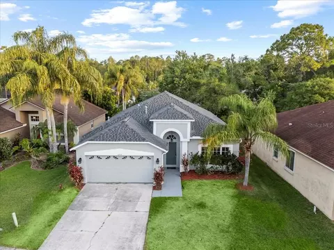 12531 Blazing Star Dr, Tampa, FL 33626