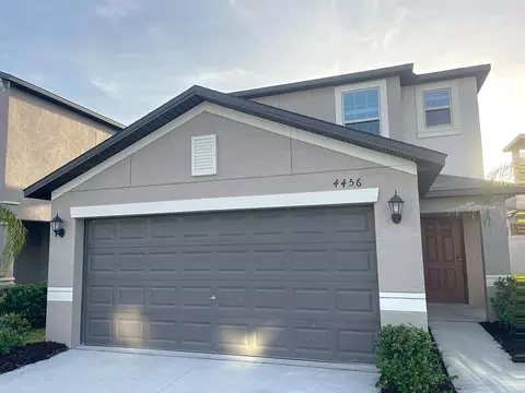 4456 Globe Thistle Dr, Tampa, FL 33619
