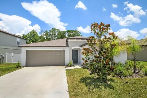 13419 Willow Bluestar Loop, Riverview, FL 33579