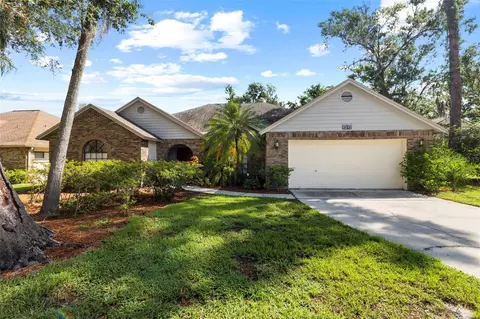 3808 Hollow Wood Dr, Valrico, FL 33594