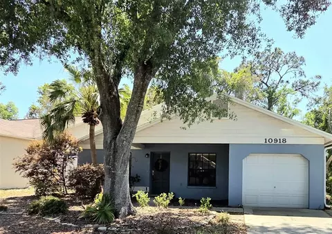 10918 Freemont Dr, New Port Richey, FL 34654