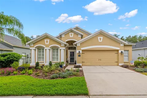 15417 Martinmeadow Dr, Lithia, FL 33547