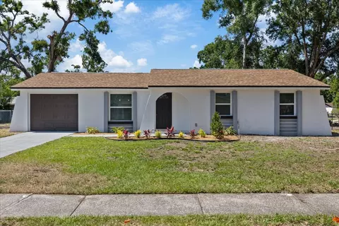 3622 Tamarix Dr, Tampa, FL 33619