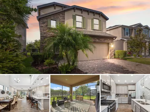 17537 Brighton Lake Rd, Land O Lakes, FL 34638