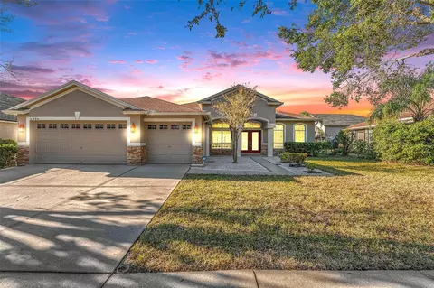 6305 Bridgevista Dr, Lithia, FL 33547
