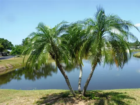 84 Cottagewood Dr #35, Safety Harbor, FL 34695