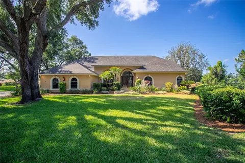 2513 Buckhorn Run Dr, Valrico, FL 33596