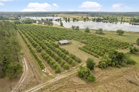 0 Barry Rd, Dade City, FL 33523