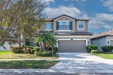 11525 Scarlet Ibis Pl, Riverview, FL 33569