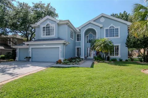4063 Ligustrum Dr, Palm Harbor, FL 34685