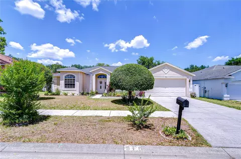316 Crystal Goblet Ct, Valrico, FL 33594
